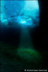 Ice diving - light stream. by Dominique Danvoye 